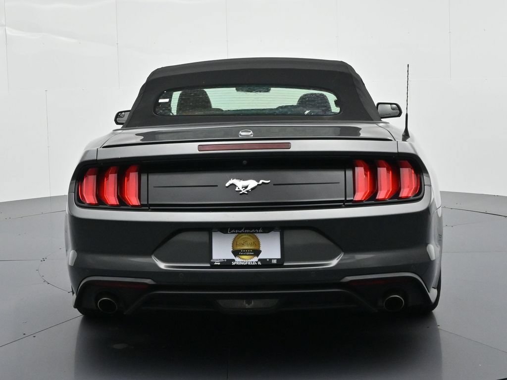 Certified 2019 Ford Mustang Premium RWD image 7