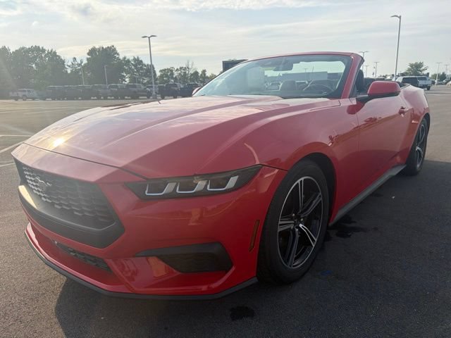 Used 2024 Ford Mustang Premium RWD image 4
