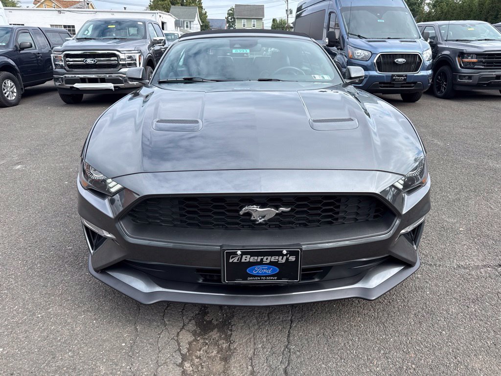 Certified 2019 Ford Mustang Premium w/ Equipment Group 201A RWD image 2
