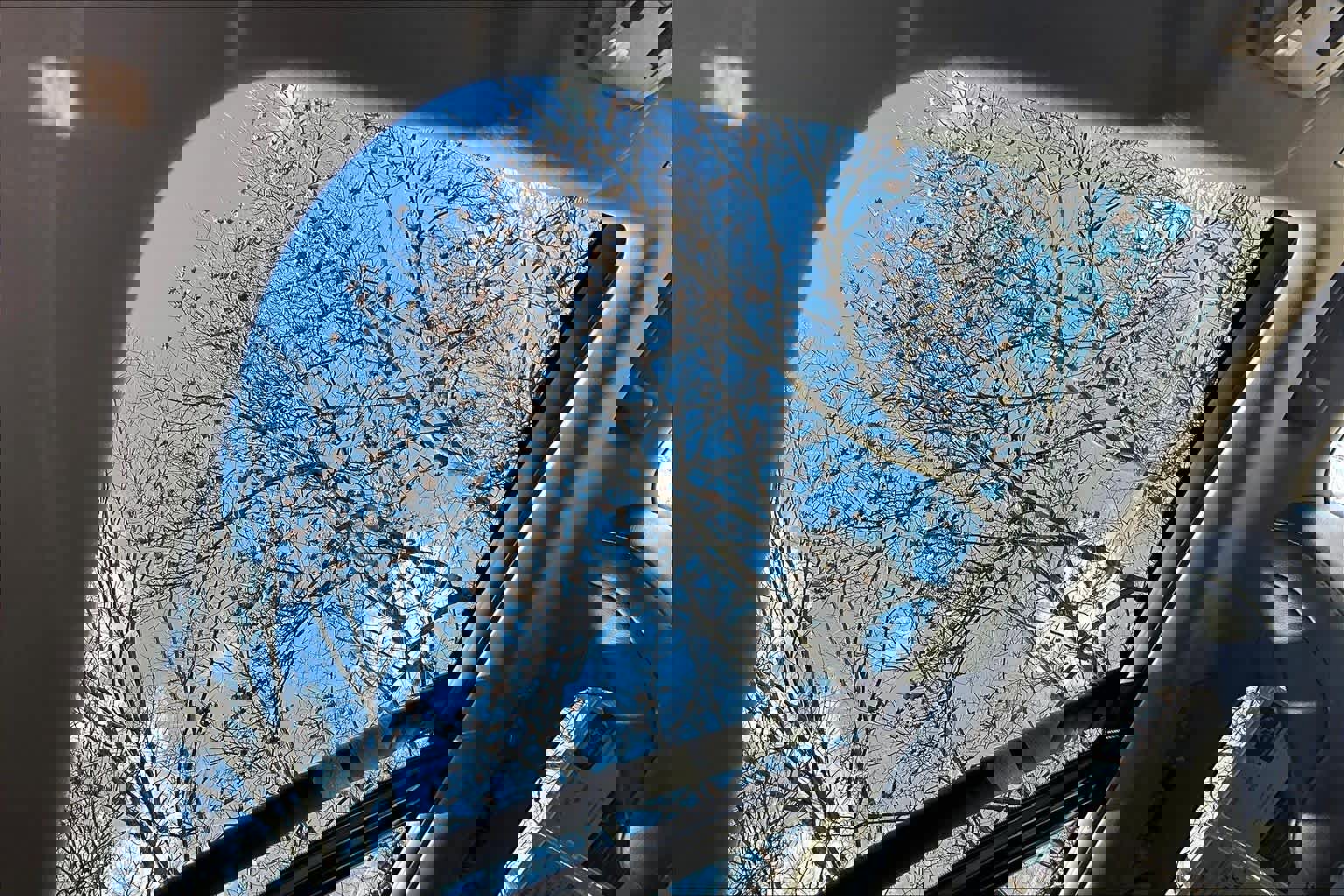 Certified 2025 Toyota Highlander Platinum image 14