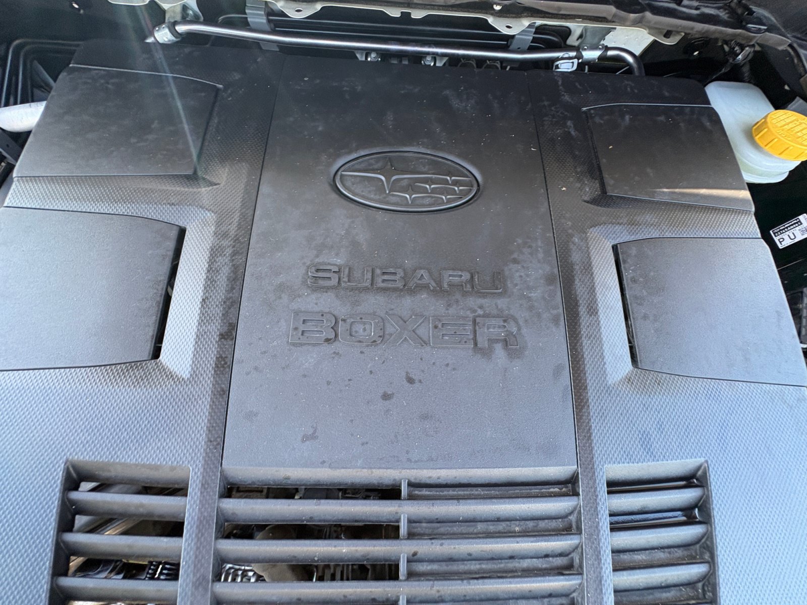 Certified 2025 Subaru Forester Wilderness AWD/4WD image 22
