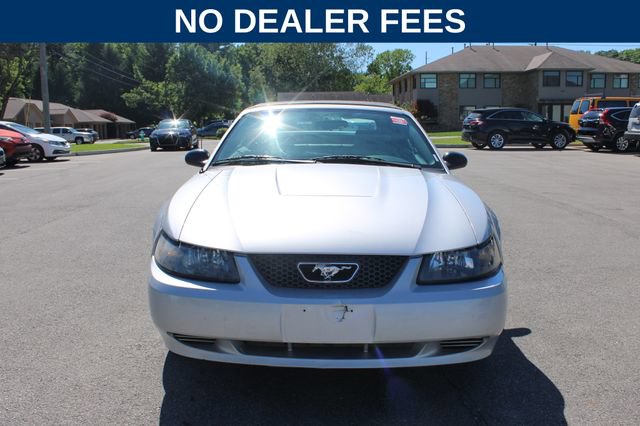 Used 2004 Ford Mustang Convertible RWD image 3