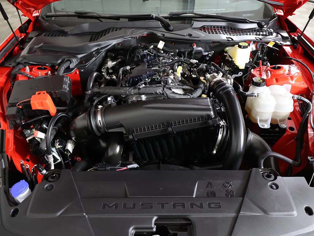 Used 2025 Ford Mustang Premium w/ Mustang Nite Pony Package RWD image 22