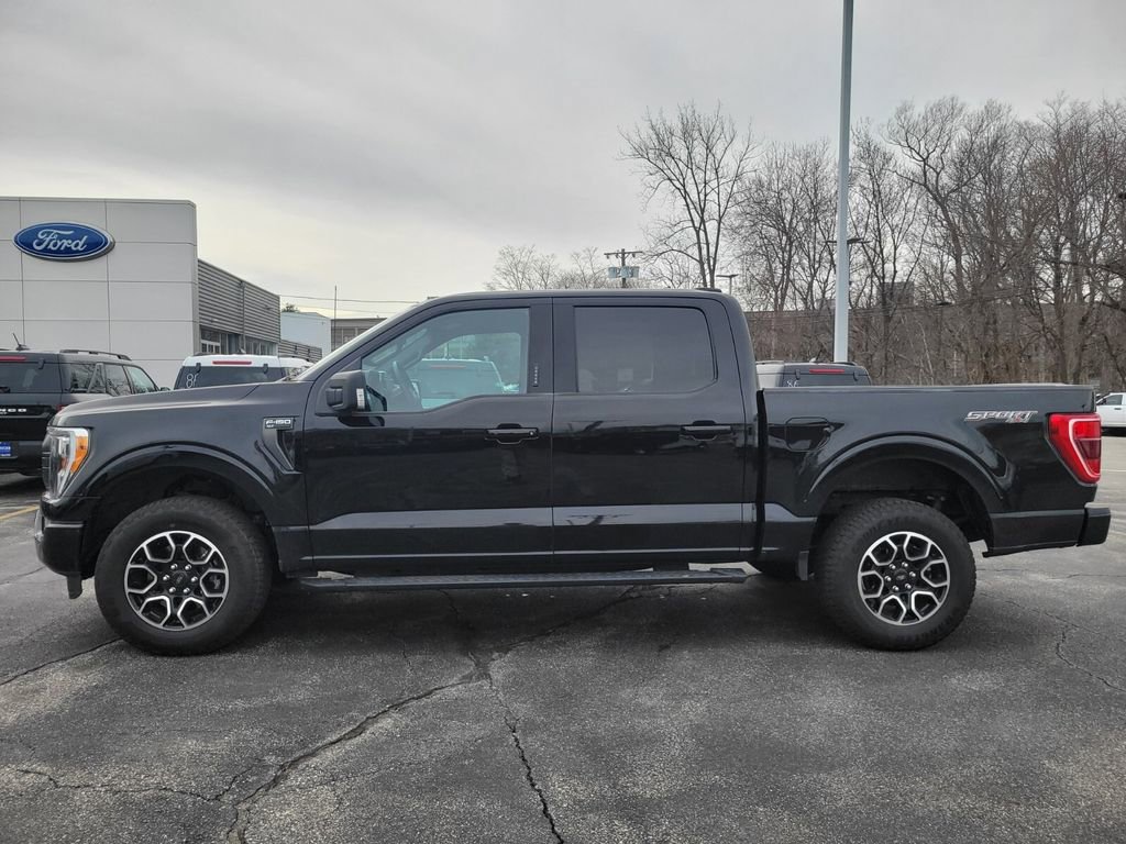 Used 2023 Ford F150 XLT w/ Equipment Group 302A High image 2
