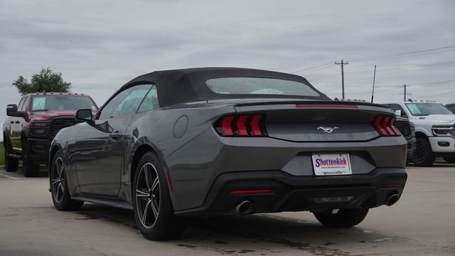 Used 2024 Ford Mustang Premium RWD image 7