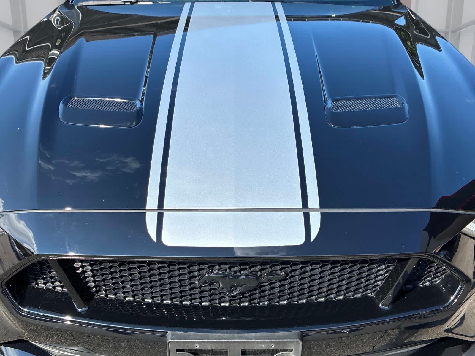 Used 2019 Ford Mustang GT w/ Black Accent Package RWD image 16