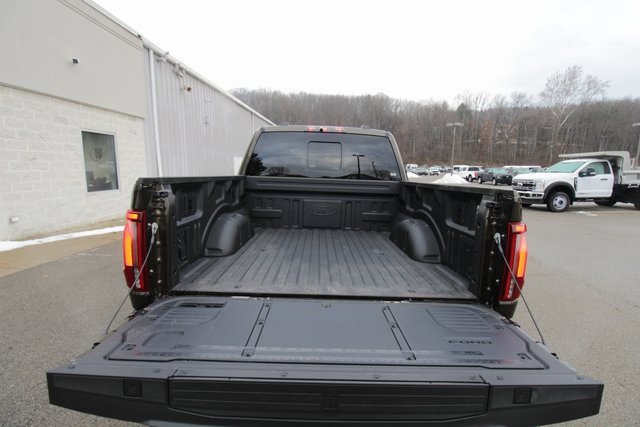 New 2025 Ford F150 Raptor image 13