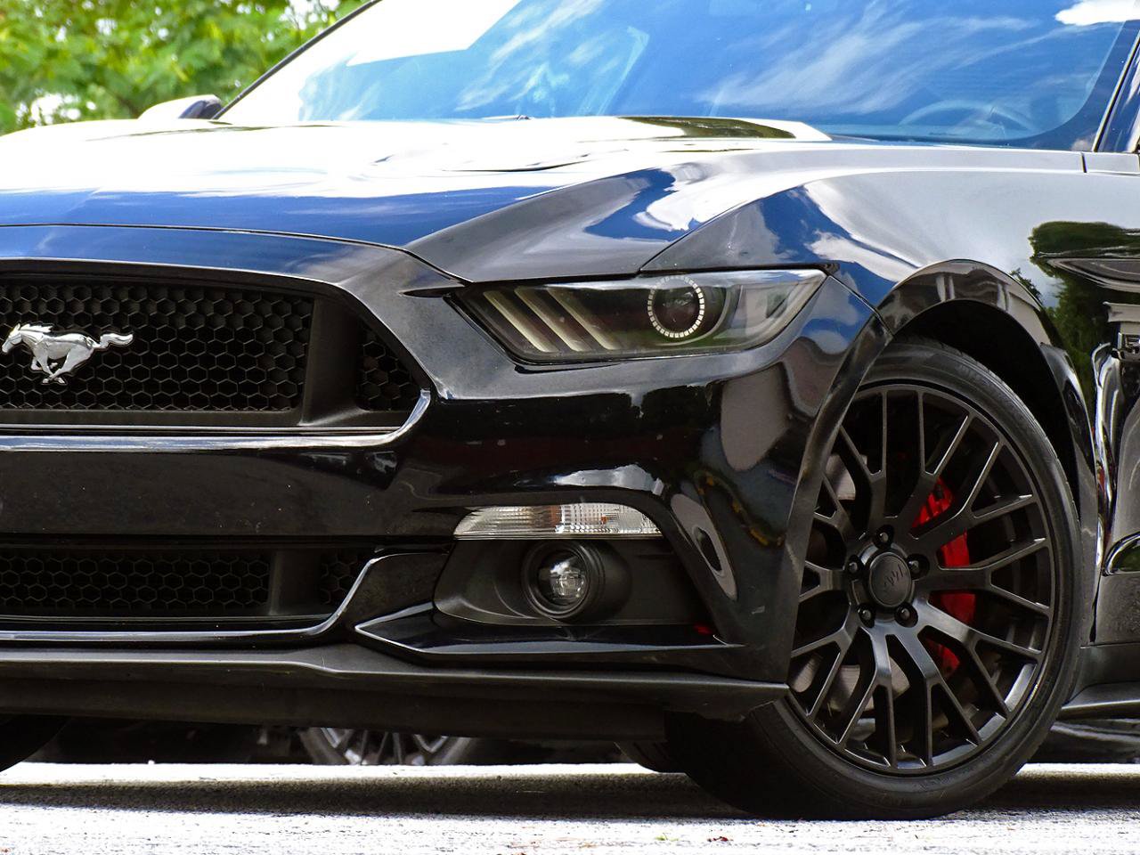 Used 2017 Ford Mustang GT Premium w/ Equipment Group 401A RWD image 6