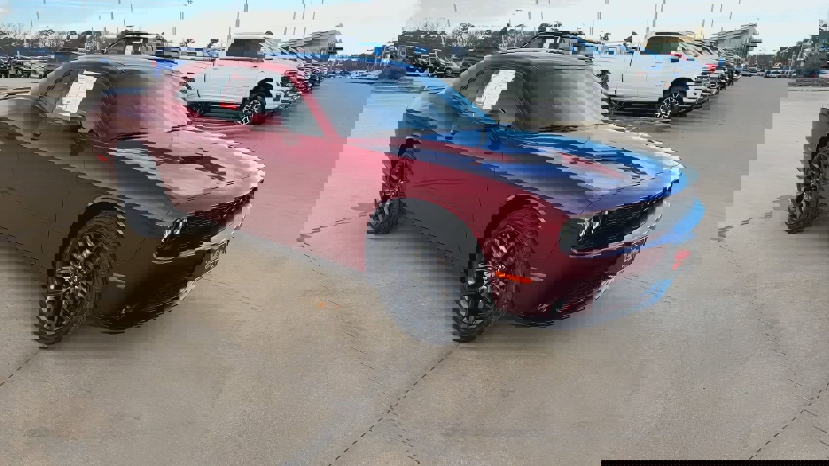 Used 2023 Dodge Challenger SXT w/ Blacktop Package image 3