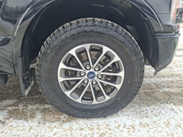 Used 2019 Ford F150 XLT w/ Equipment Group 301A Mid image 28