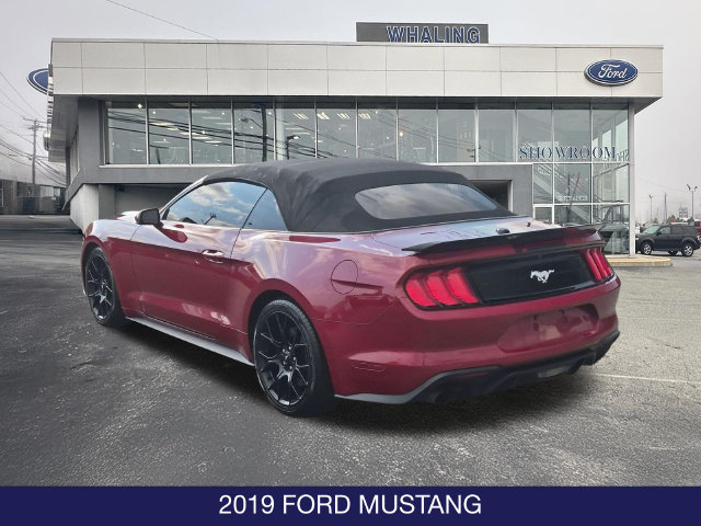 Used 2019 Ford Mustang Premium w/ Ecoboost Performance Package RWD image 6