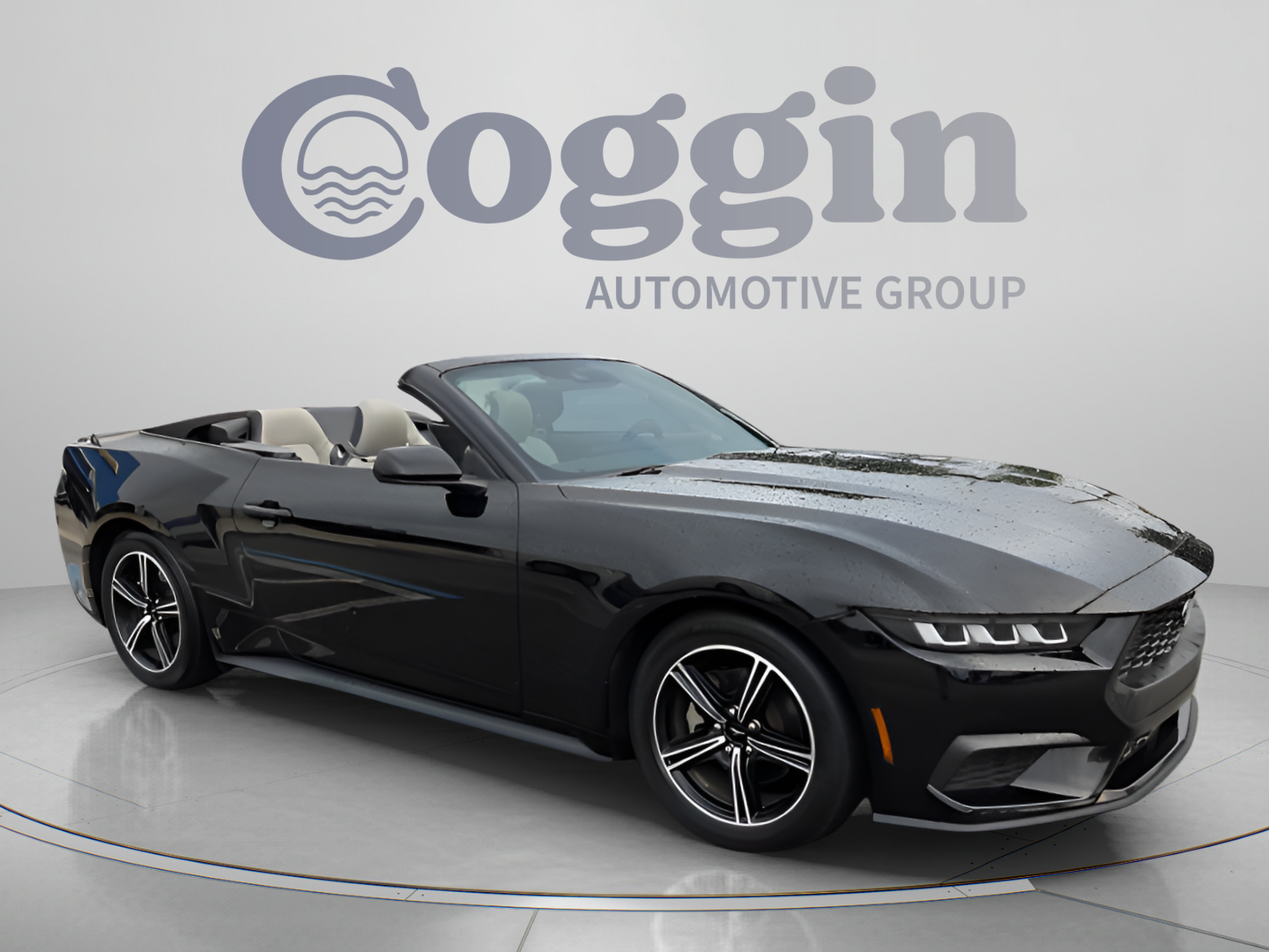 Used 2024 Ford Mustang Premium RWD image 7