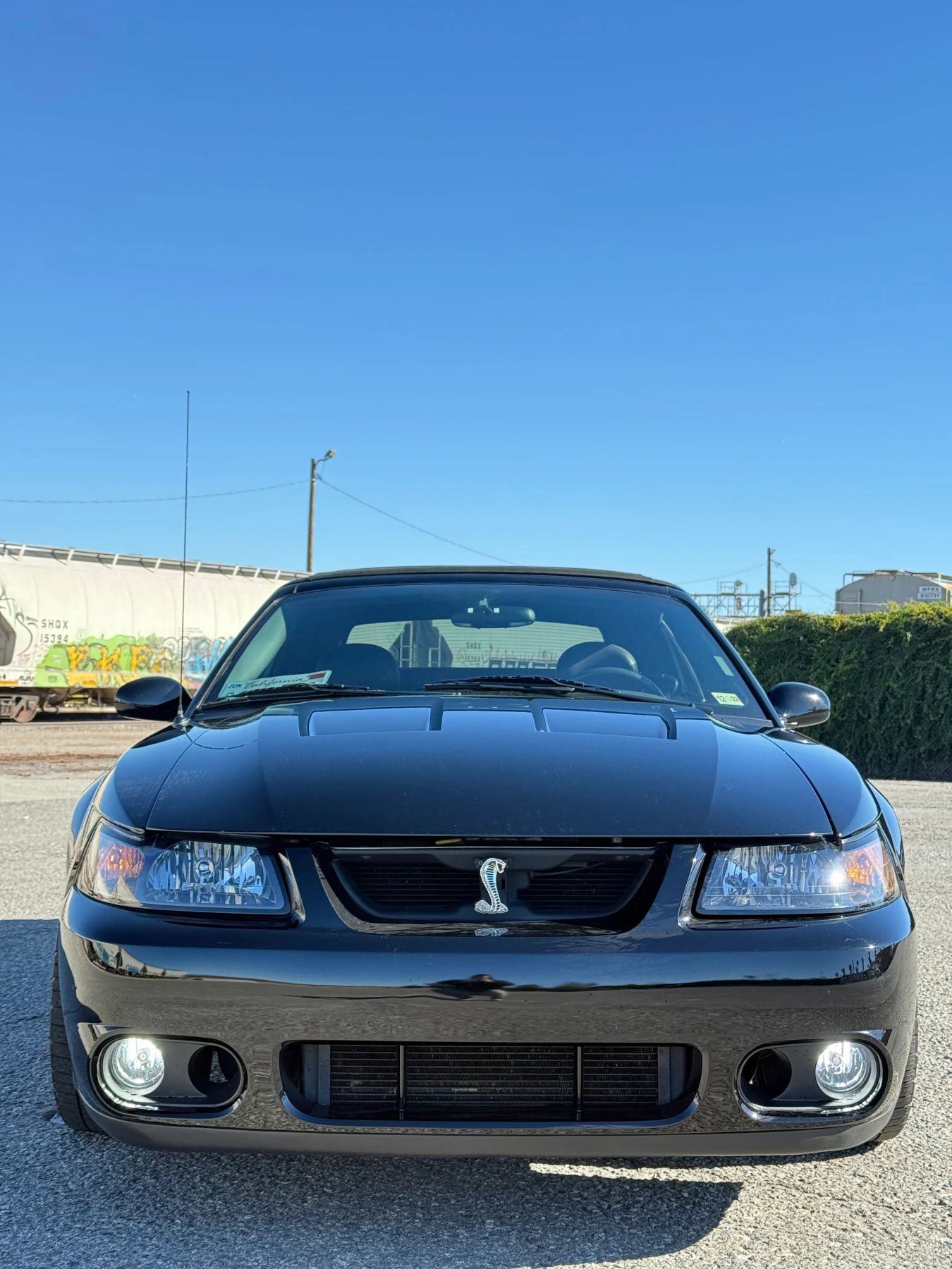 Used 2004 Ford Mustang Cobra image 11