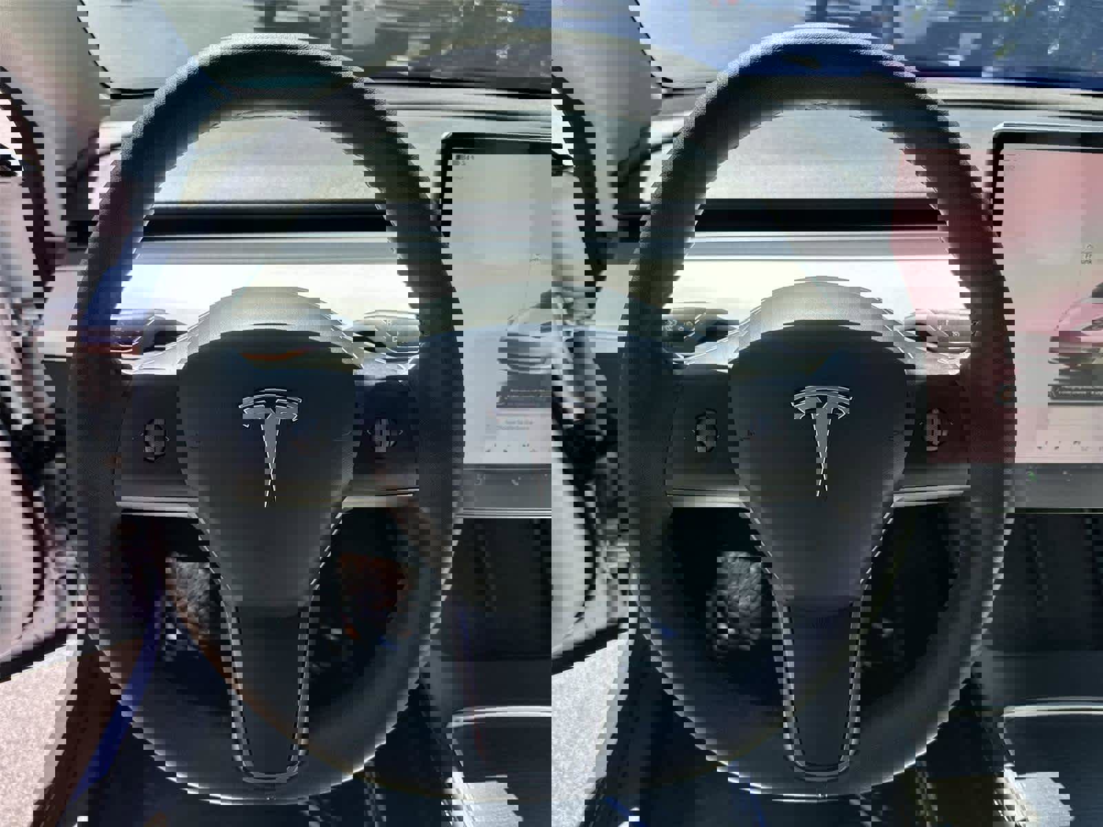 Used 2022 Tesla Model 3 Long Range image 15