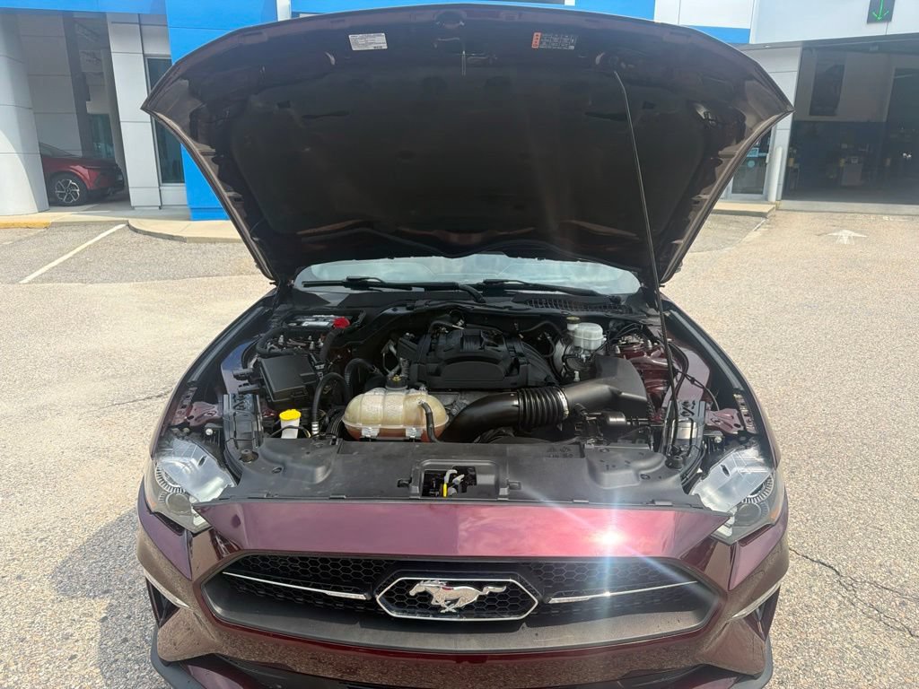 Used 2018 Ford Mustang Premium w/ Equipment Group 201A RWD image 11