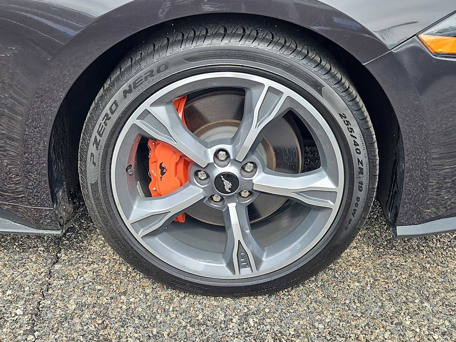 Used 2023 Ford Mustang GT Premium w/ Equipment Group 401A image 10