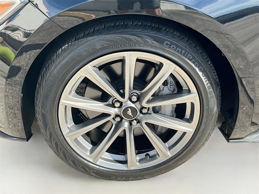 Used 2015 Ford Mustang GT Premium w/ Equipment Group 401A image 29