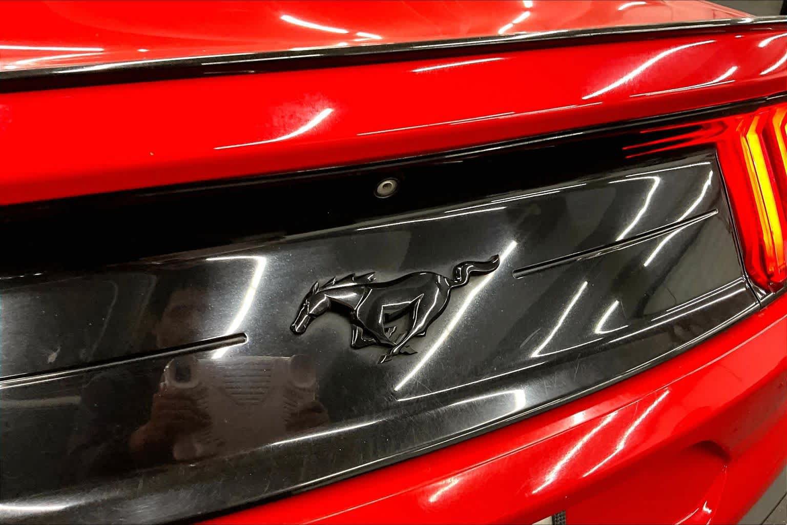 Used 2019 Ford Mustang Coupe w/ Equipment Group 101A RWD image 30