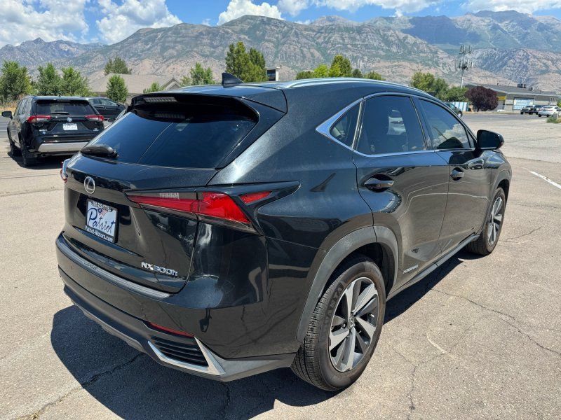 Used 2019 Lexus NX 300h AWD w/ Premium Package image 5