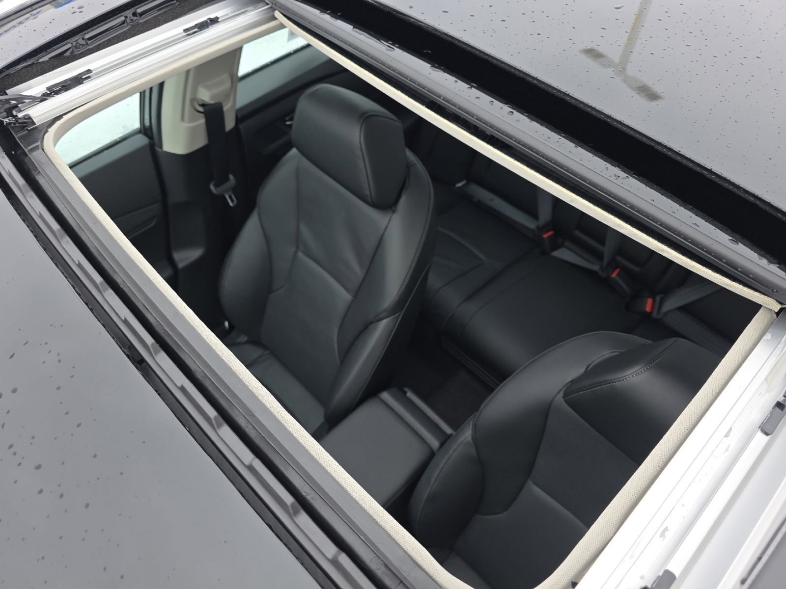 New 2026 Honda Accord EX-L image 4