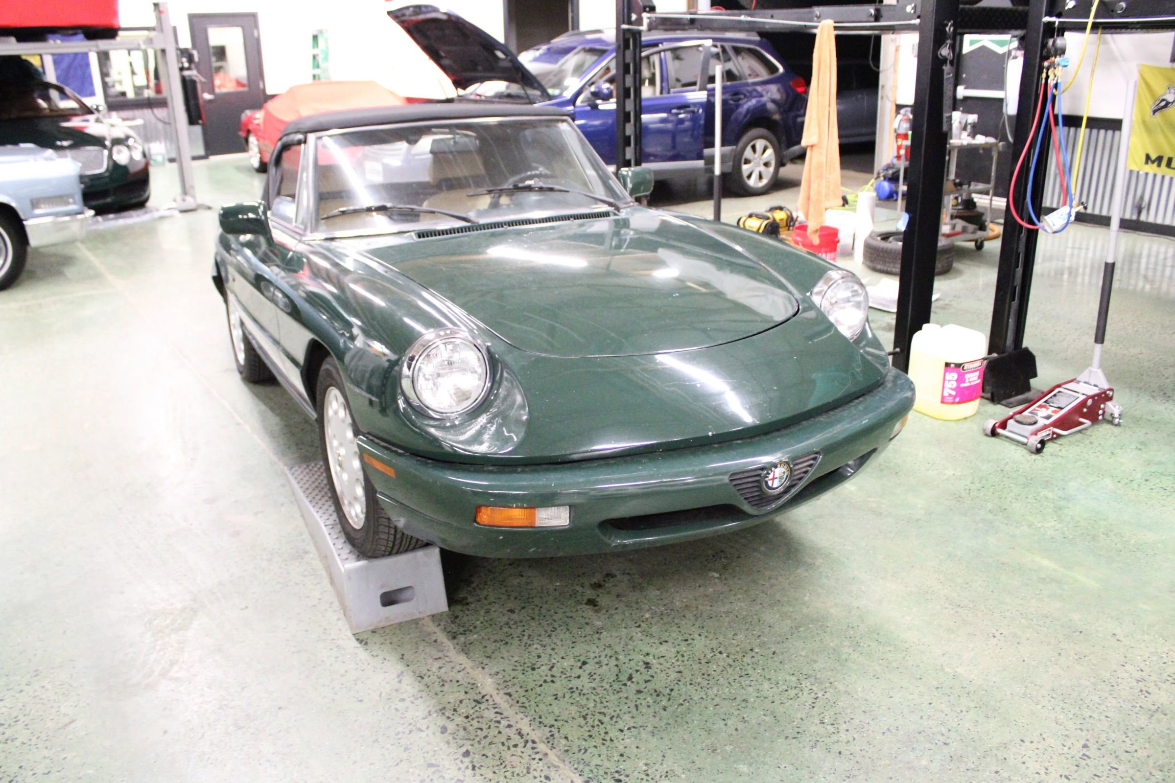 Used 1991 Alfa Romeo Spider Veloce image 5