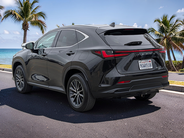 Used 2024 Lexus NX 350 AWD w/ Cold Area Package image 8