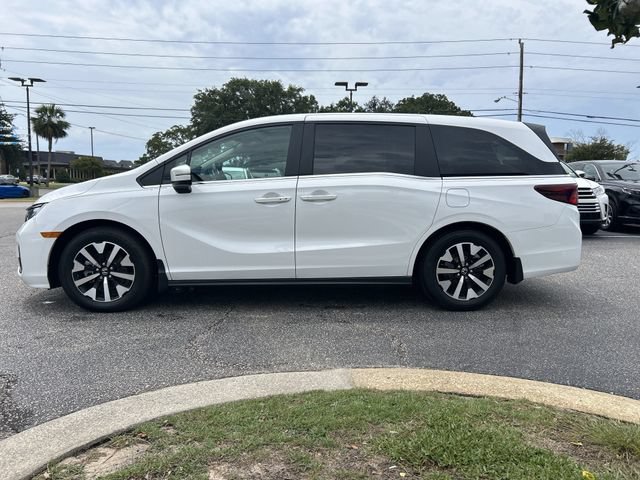 Certified 2026 Honda Odyssey EX-L image 7