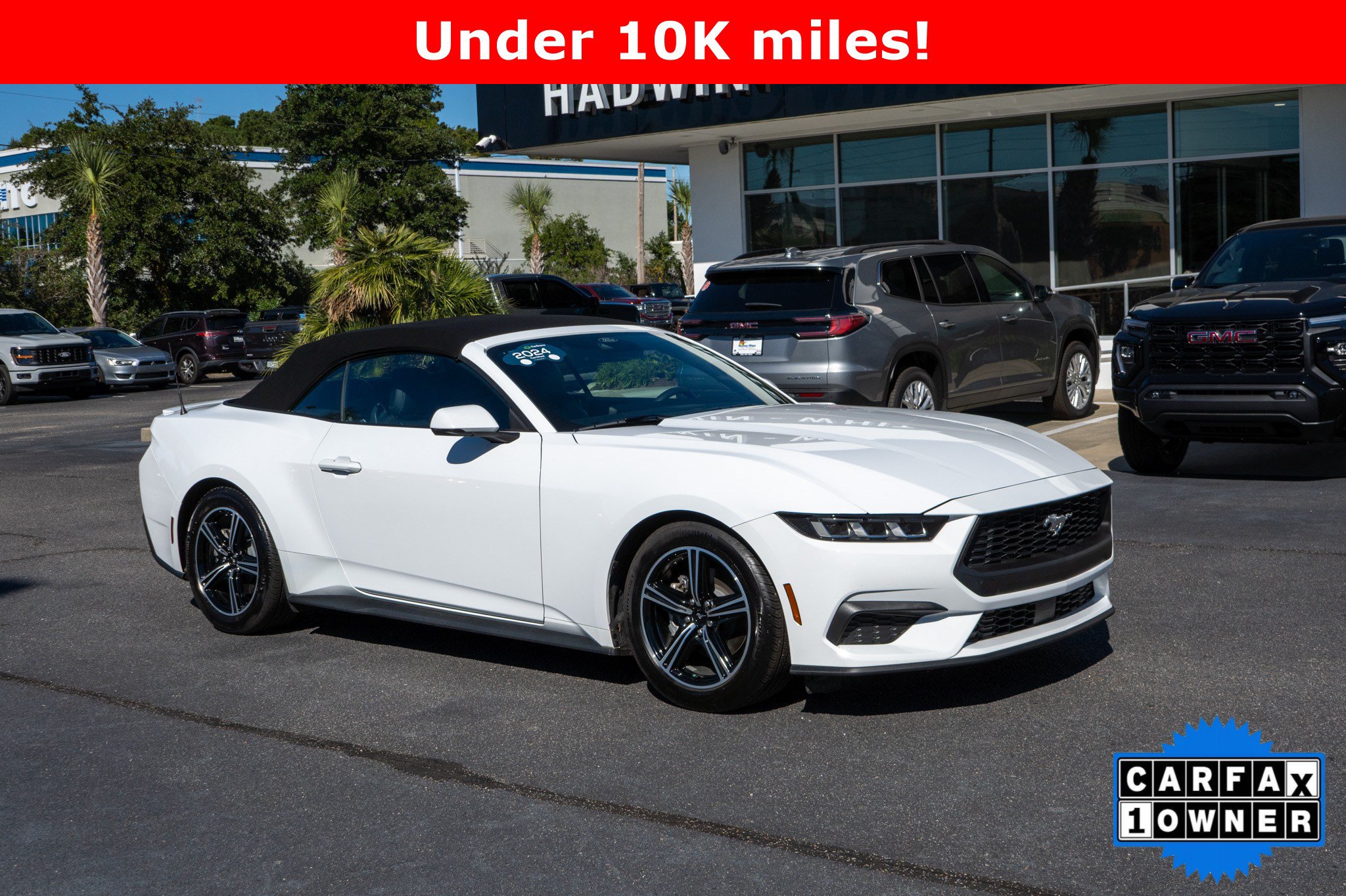 Used 2024 Ford Mustang Premium RWD image 1