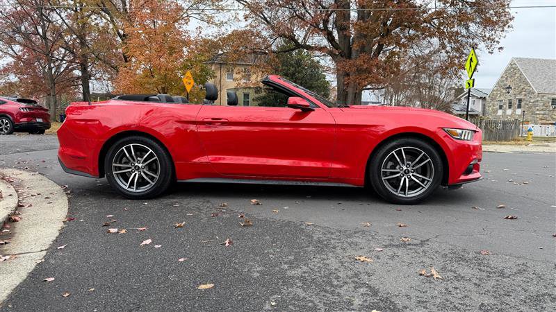 Used 2017 Ford Mustang Premium image 7