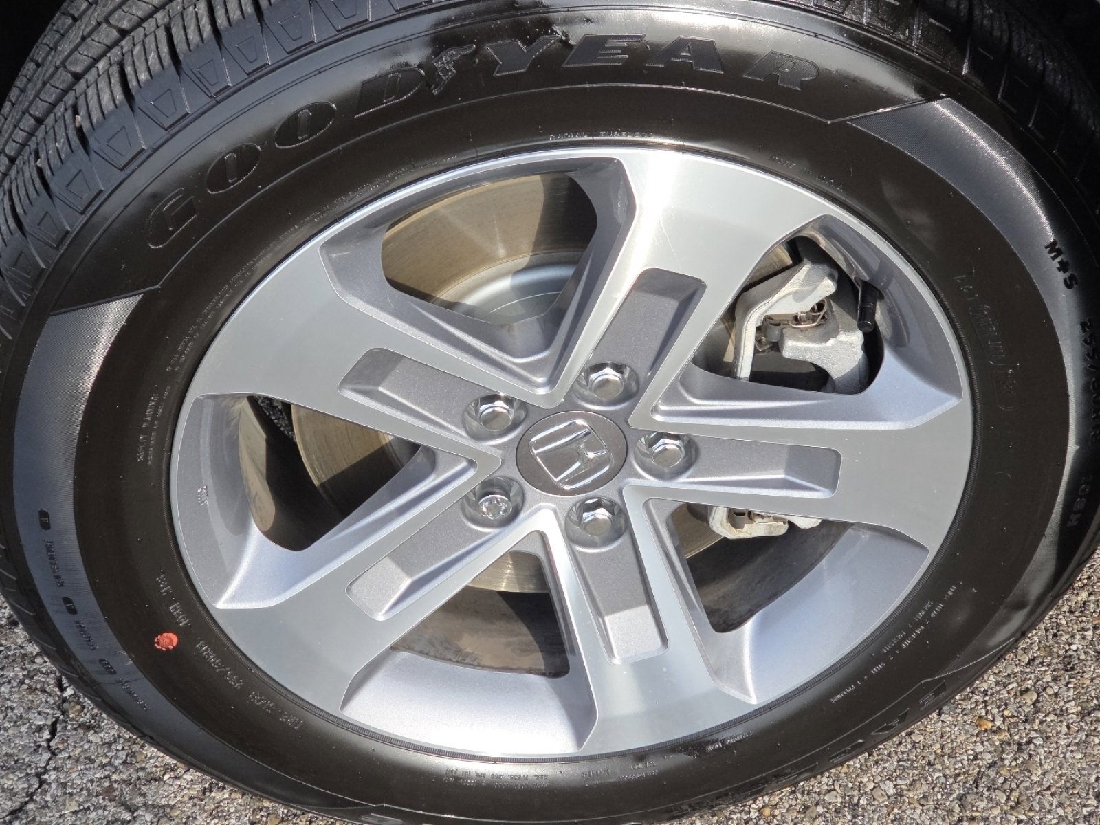 Used 2025 Honda Pilot EX-L image 8