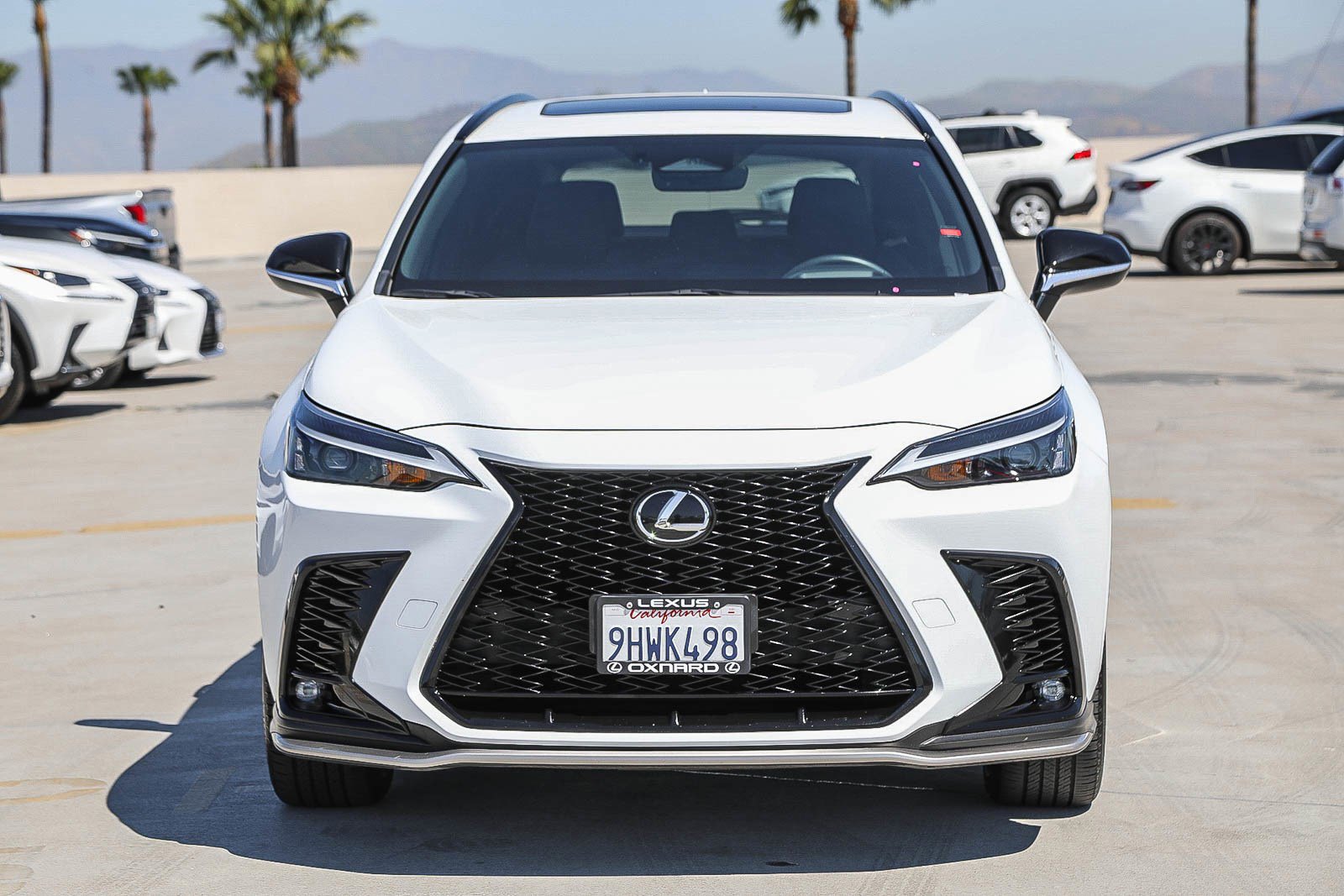 Used 2024 Lexus NX 350 F Sport AWD/4WD image 2