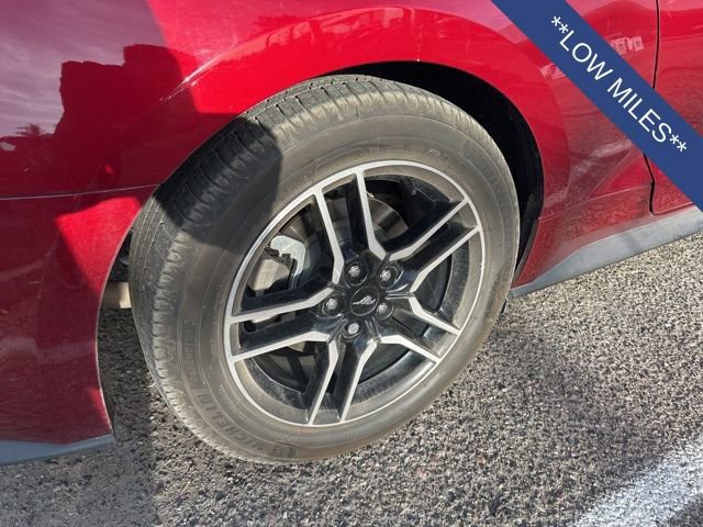 Used 2018 Ford Mustang Premium RWD image 8