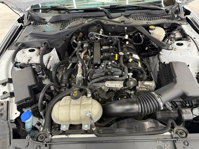 Used 2023 Ford Mustang Premium image 23