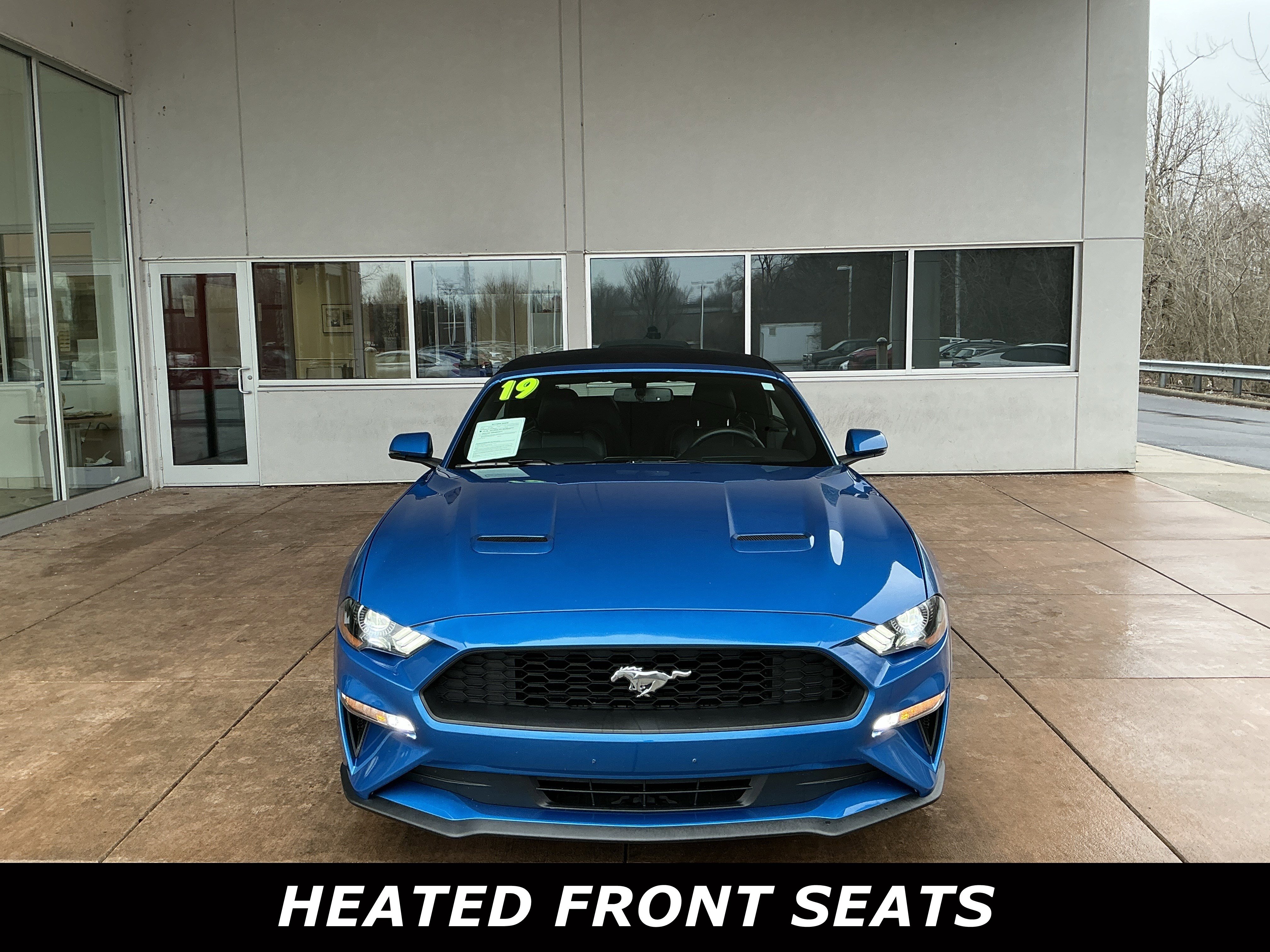 Used 2019 Ford Mustang Premium image 2