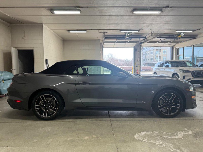 Certified 2021 Ford Mustang Premium image 2