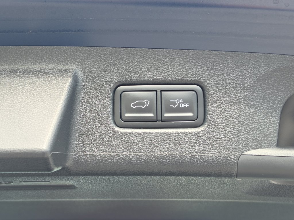 Used 2024 Kia Telluride SX w/ Towing Package FWD image 7