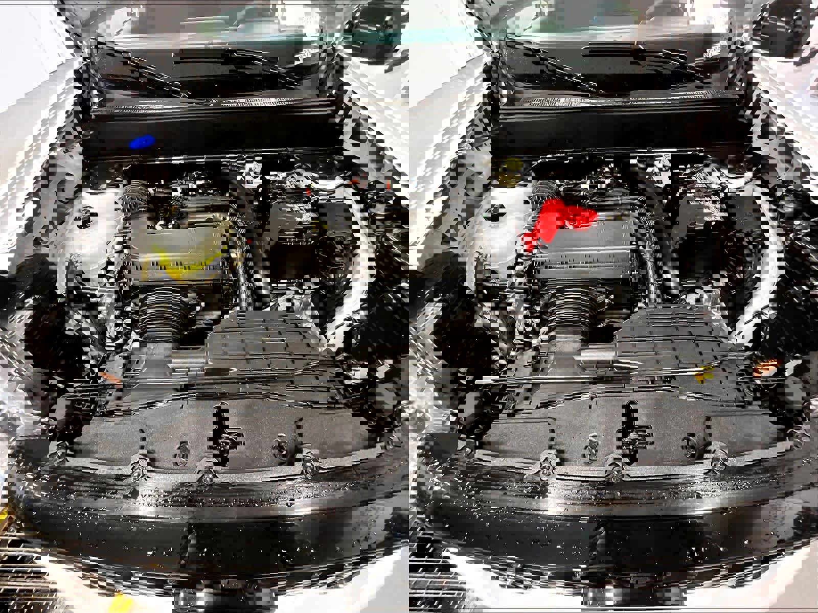 Used 2025 Ford Maverick XLT w/ XLT Luxury Package image 29