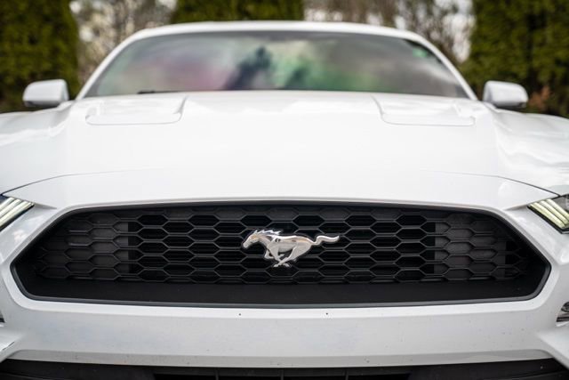 Used 2018 Ford Mustang Premium RWD image 16