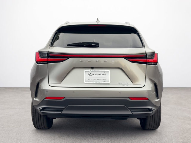 Used 2024 Lexus NX 350 AWD image 4