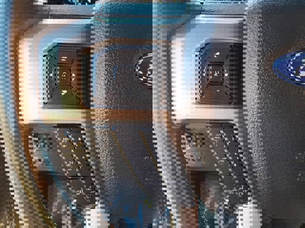 Used 2019 Ford F150 Platinum w/ Equipment Group 701A Luxury image 29