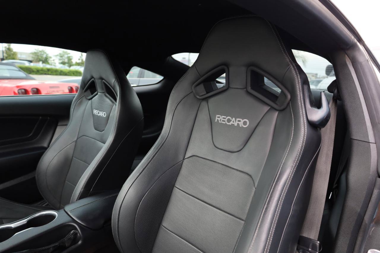 Used 2019 Ford Mustang Premium w/ Equipment Group 201A RWD image 7