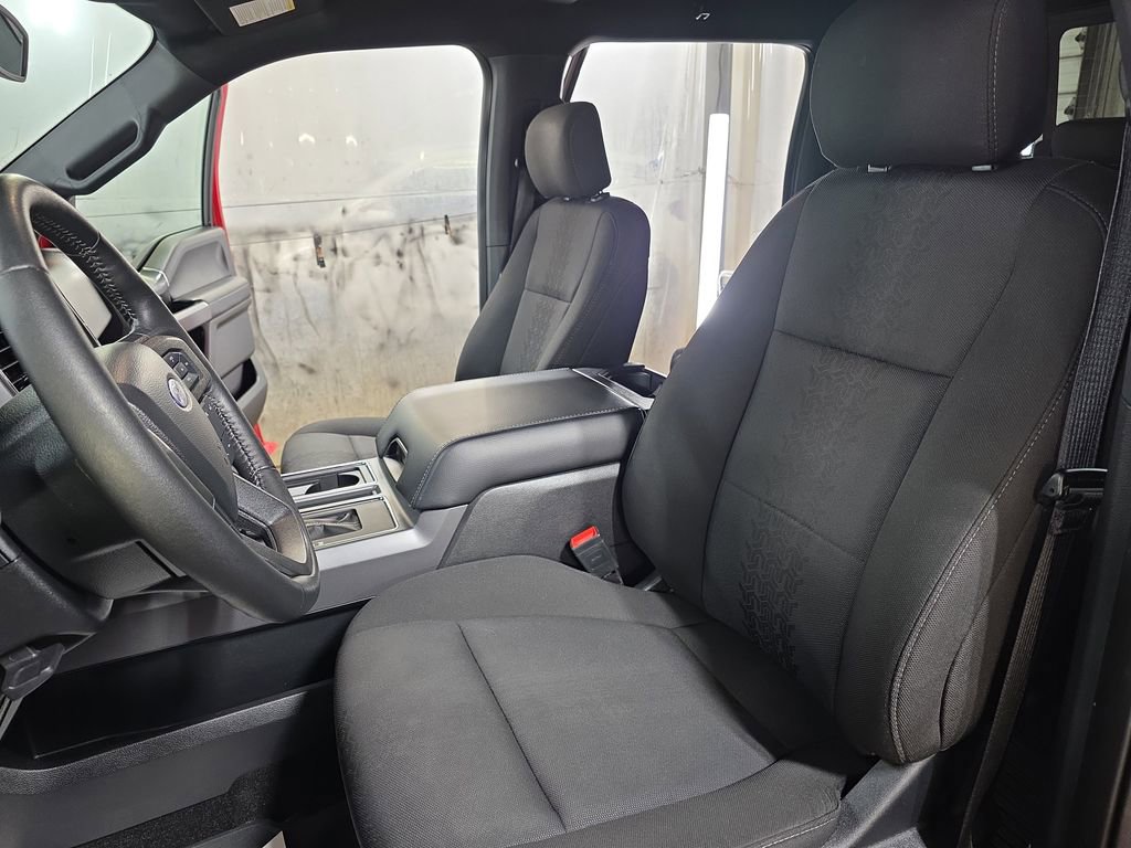 Used 2019 Ford F150 XLT w/ Equipment Group 302A Luxury AWD/4WD image 14
