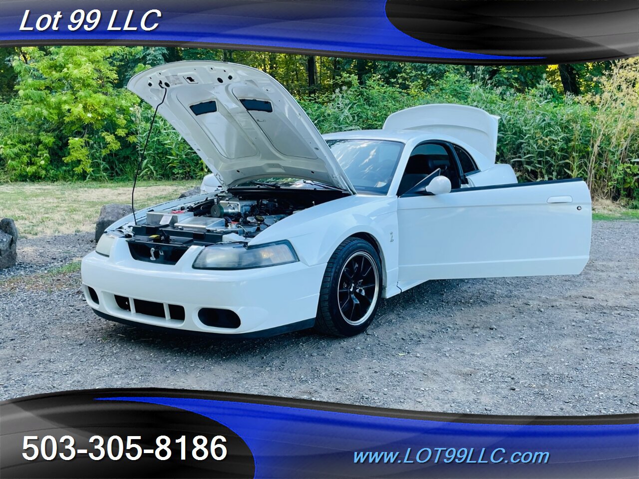 Used 2000 Ford Mustang GT RWD image 35