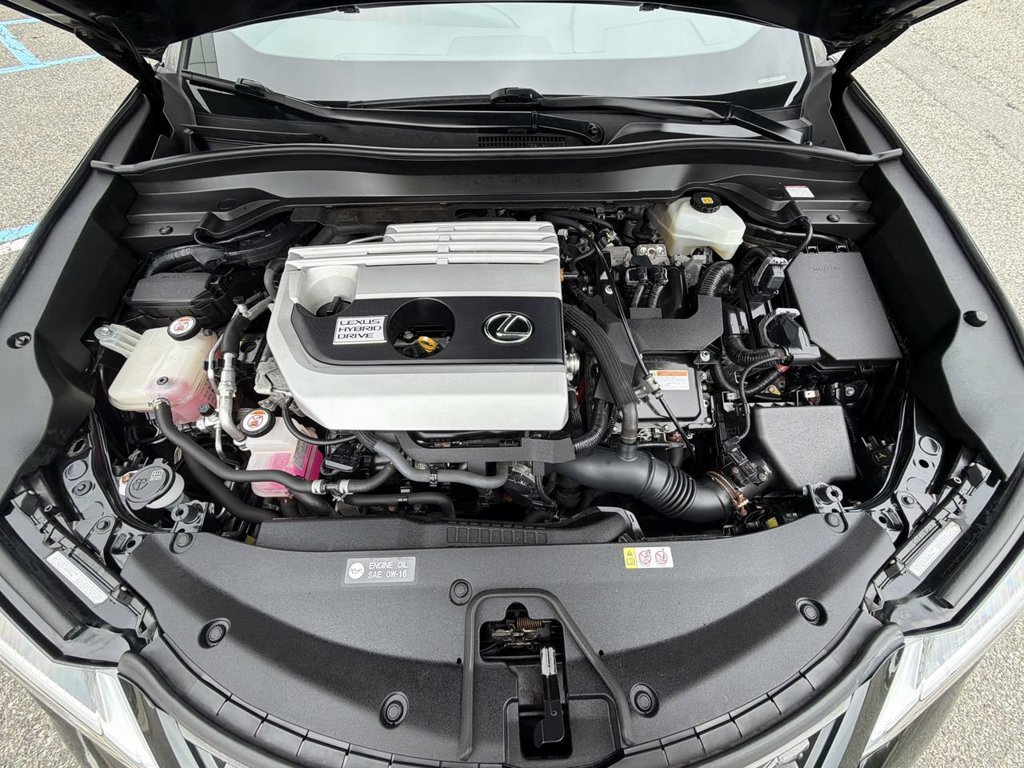 Used 2019 Lexus UX 250h F Sport w/ F Sport Premium Package AWD/4WD image 14