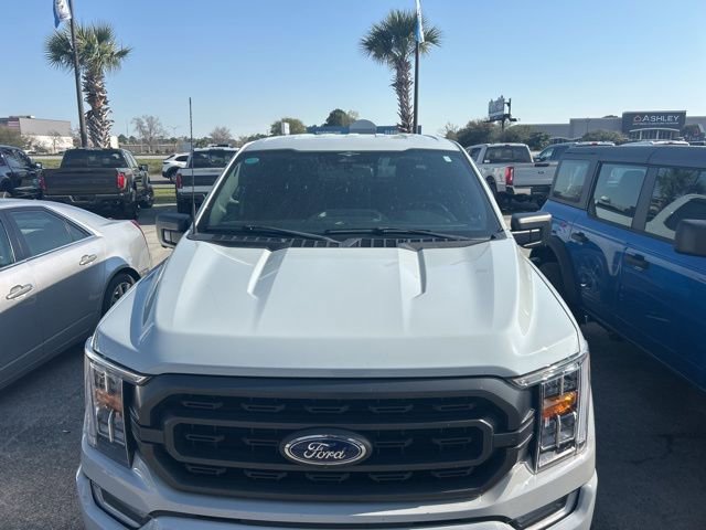 Used 2023 Ford F150 XLT w/ Equipment Group 302A High image 2