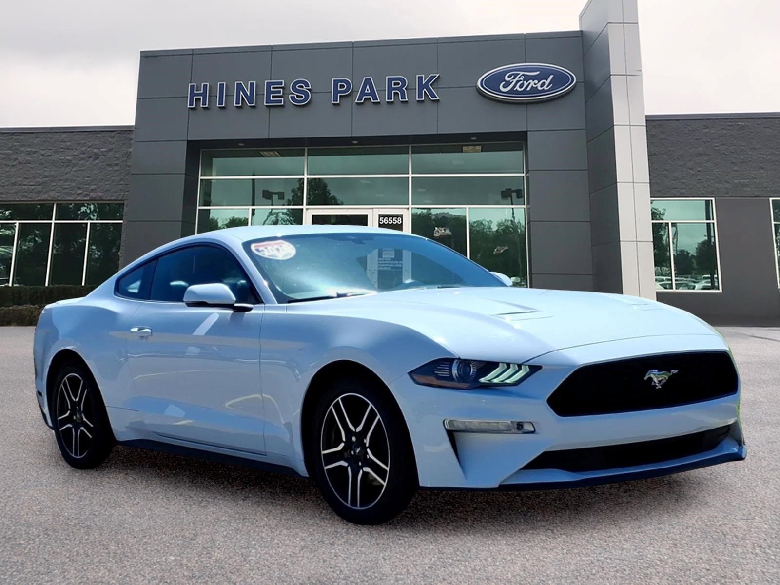 Used 2020 Ford Mustang Premium w/ Equipment Group 201A RWD image 1