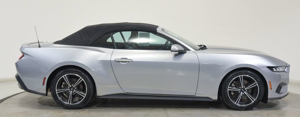 Used 2024 Ford Mustang Premium image 13