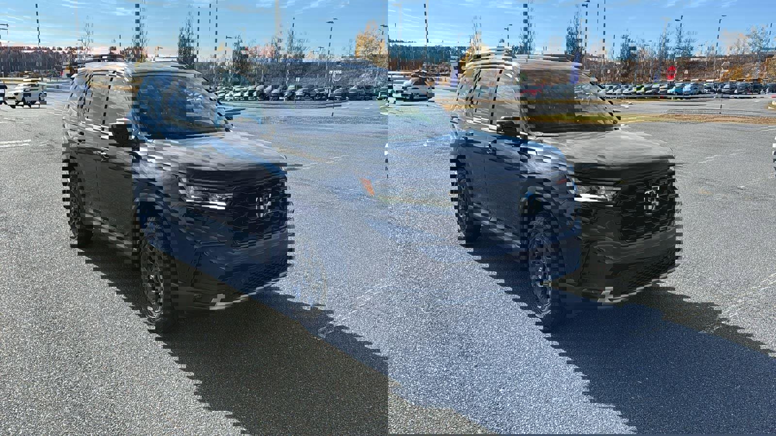 New 2025 Honda Pilot TrailSport