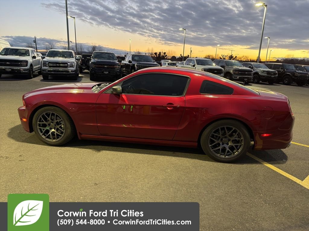 Used 2014 Ford Mustang Coupe w/ Equipment Group 102A image 9
