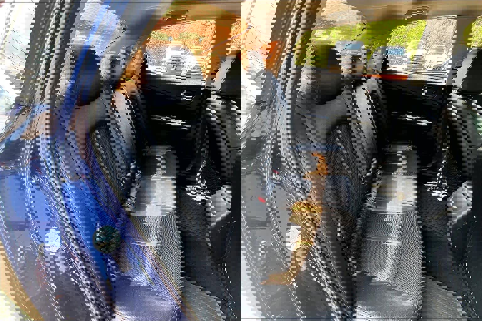 Used 2019 Kia Optima S w/ S Panoramic Sunroof Package image 20